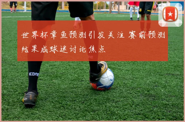 世界杯章鱼预测引发关注 赛前预测结果成球迷讨论焦点