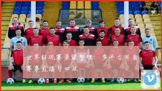 世界杯观赛渠道整理：多平台可看赛事直播与回放