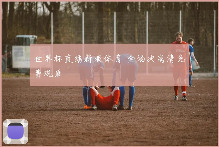 世界杯直播新浪体育 全场次高清免费观看