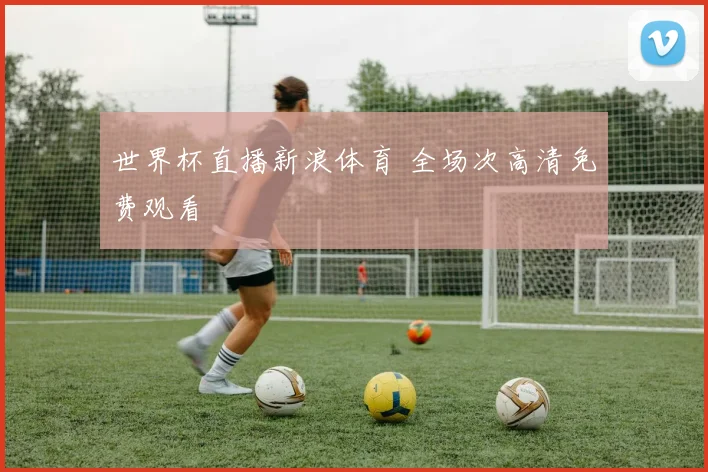 世界杯直播新浪体育 全场次高清免费观看