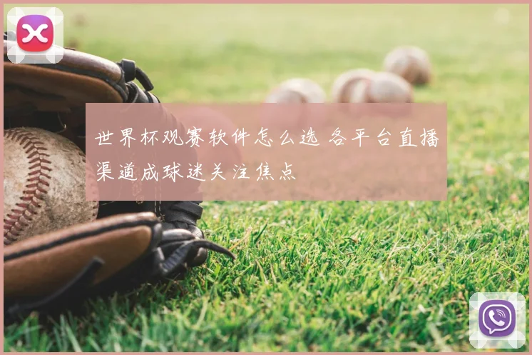 世界杯观赛软件怎么选 各平台直播渠道成球迷关注焦点
