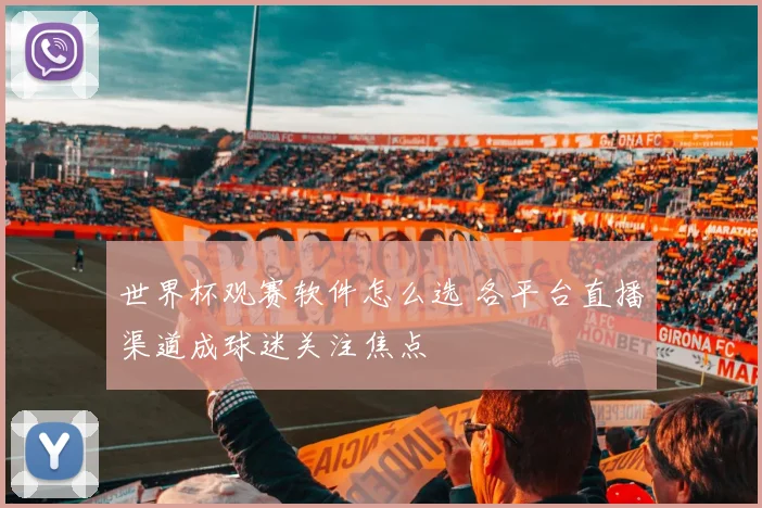 世界杯观赛软件怎么选 各平台直播渠道成球迷关注焦点